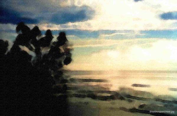BrazilAmazonShore
