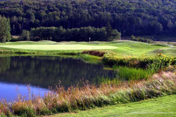 Golf-MtWashingtonPleasantNine-NH
