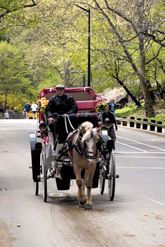 19-NYC-