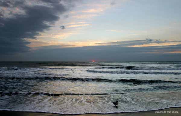 OceanCity-MD-01
