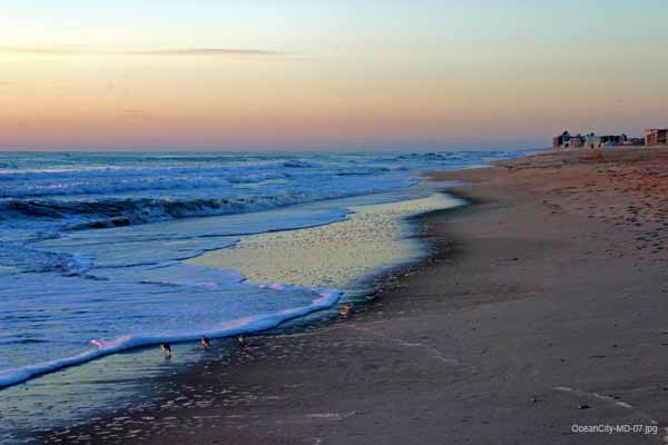 OceanCity-MD-07