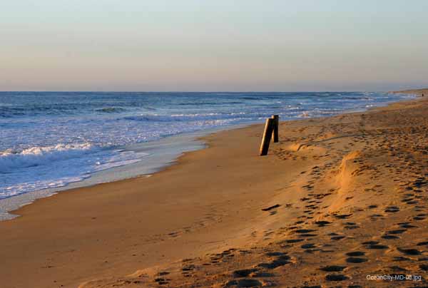 OceanCity-MD-08