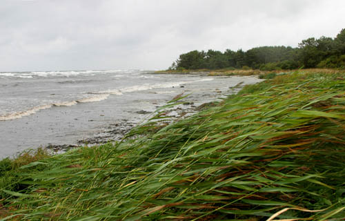 Sweden-Gotland-17