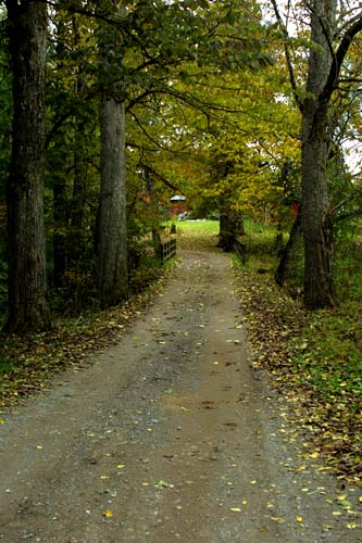 Sweden-Norberg-28