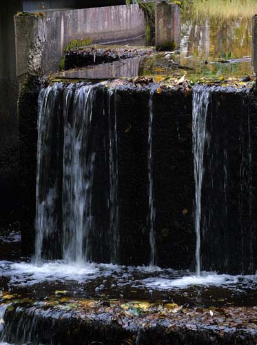 Sweden-Norberg-29