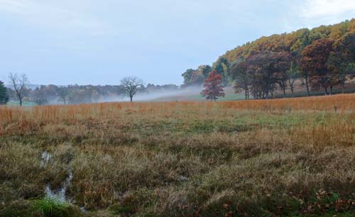 10-ValleyForgePark