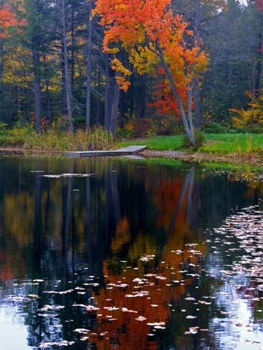 16-Vermont